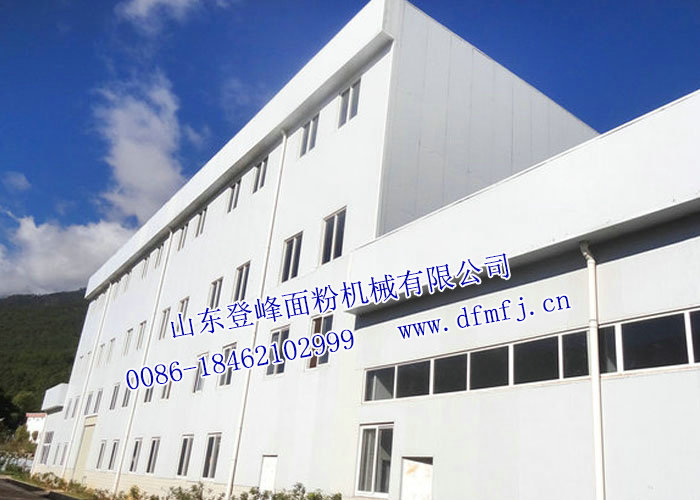 面粉厂社会实践报告精选