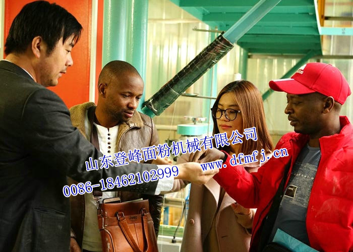 肯尼亚客户签订合同